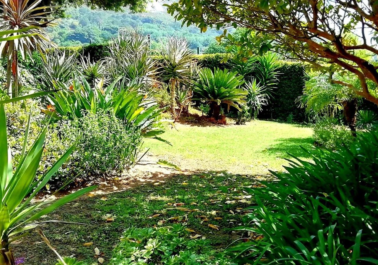 De Wingerd Wijnland Lodge Paarl Exteriér fotografie